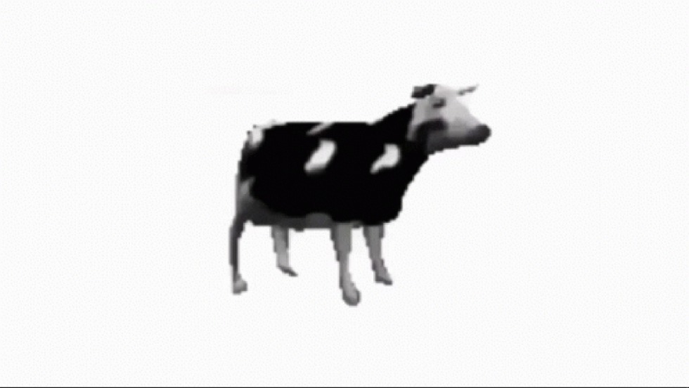 Polish cow Flexitis