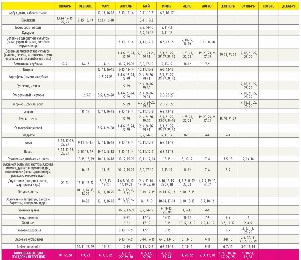 Moon phases Graphic image