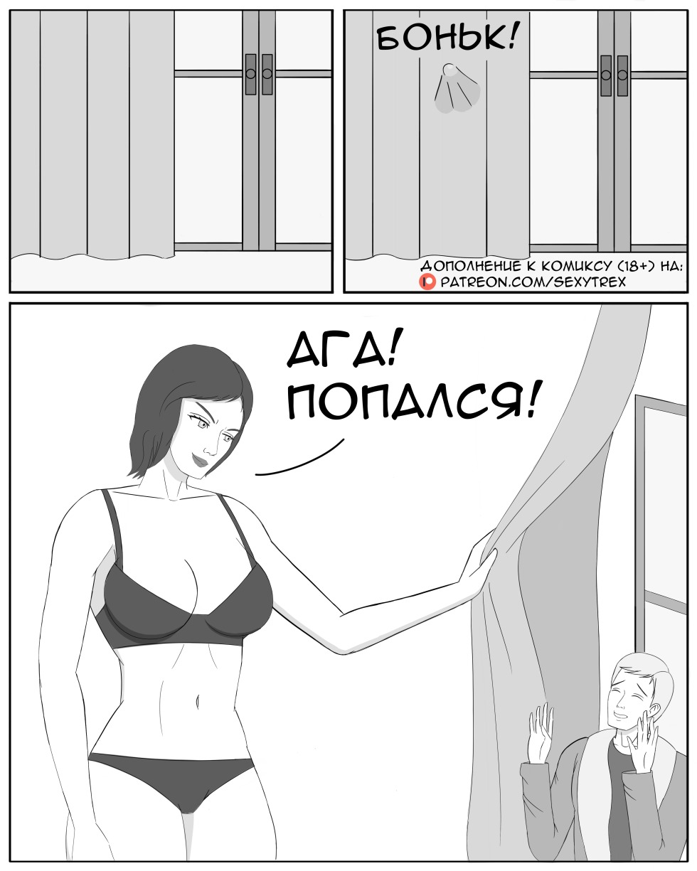 BPW 295x430 shock absorber