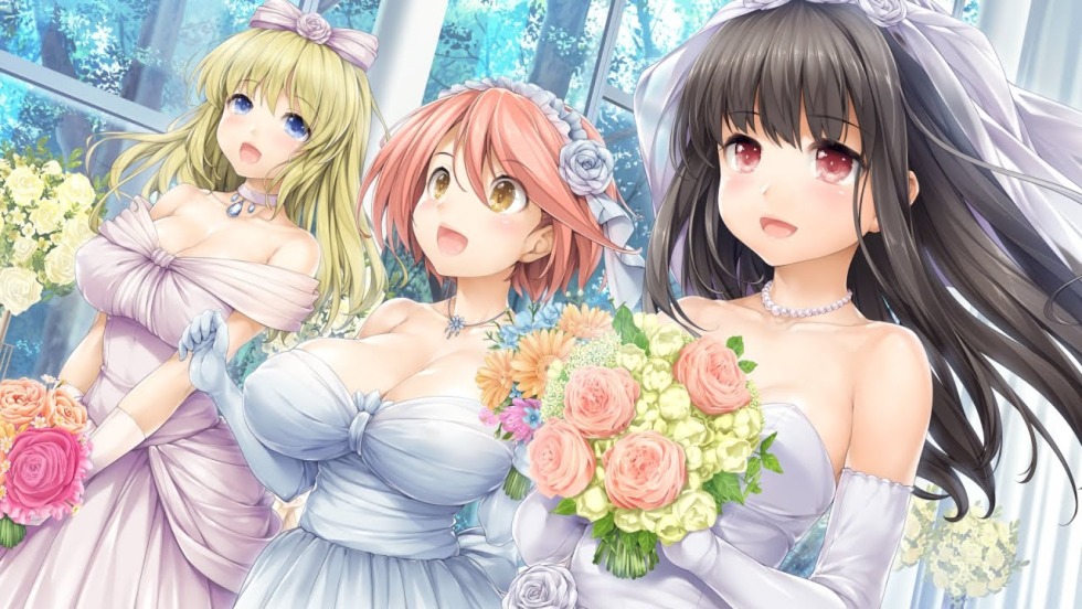 Anime novels in the Ero pool