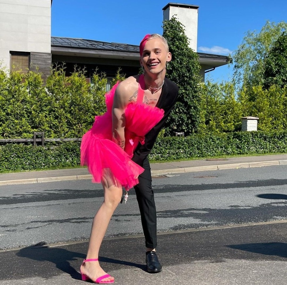 Shrek Fiona Harold Donvod