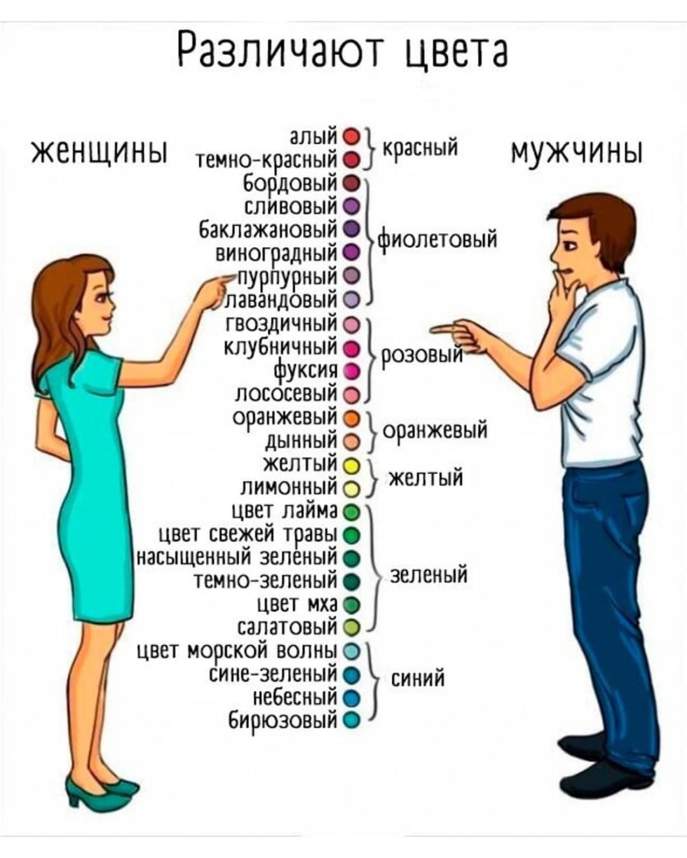 Kak Mujchini I Jenshini Razlichaut Cveta