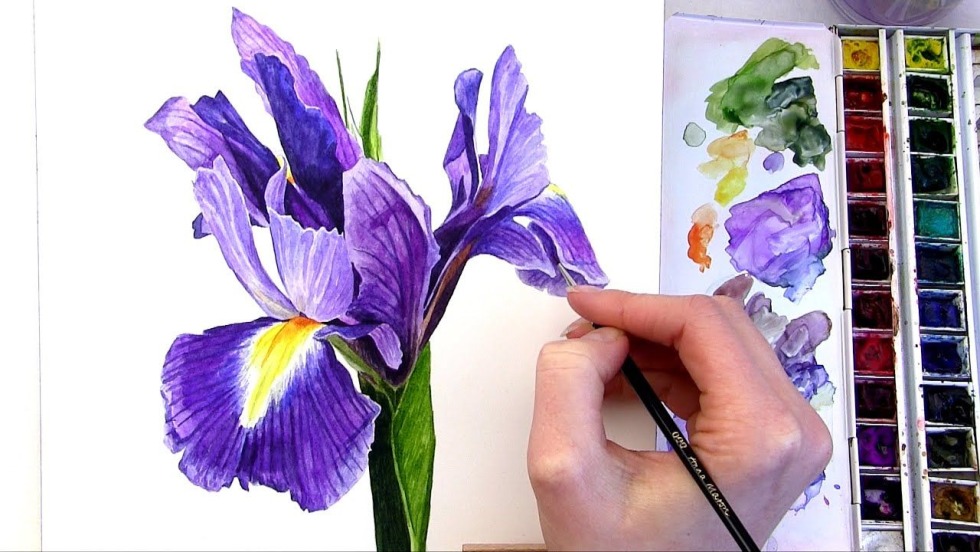 Anna Mason Fundamentals of Botanical Painting Watercolors