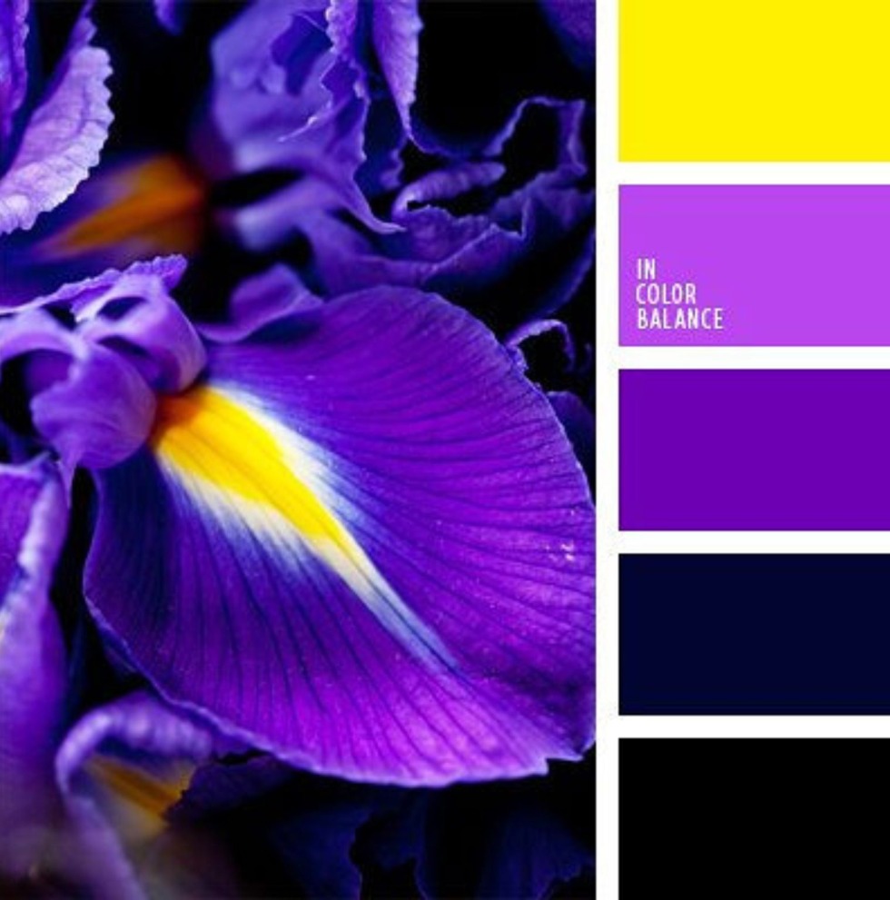 Color palette purple yellow
