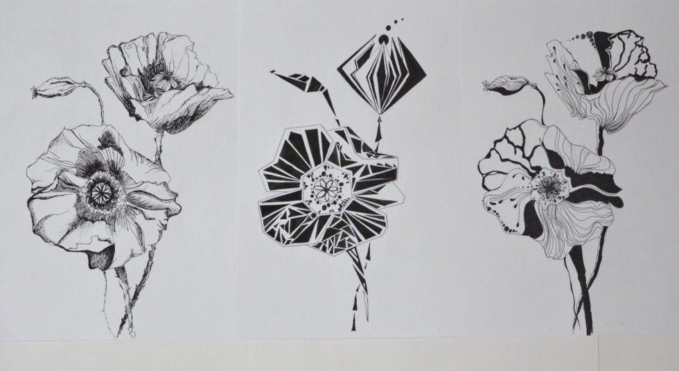 Plant stylization in graphics