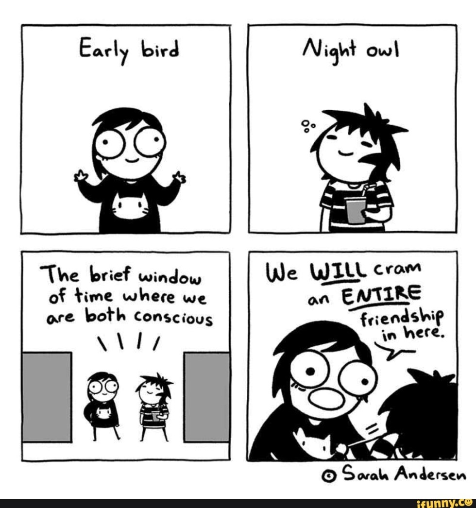 Owl and lark comic