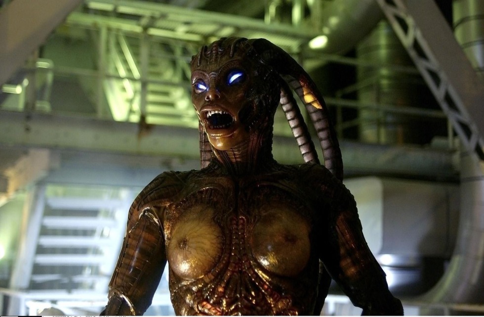 Individual 3 film 2004