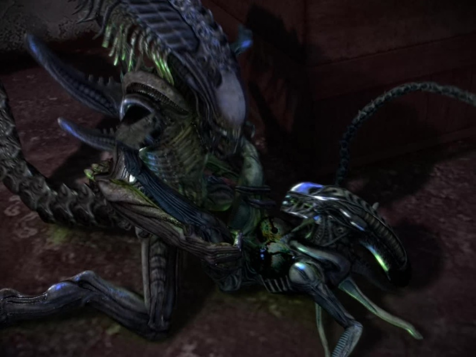 Xenomorph female queen 18