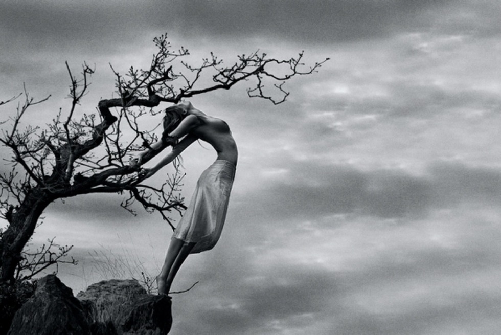 Svetlana Lavrentieva cat basso