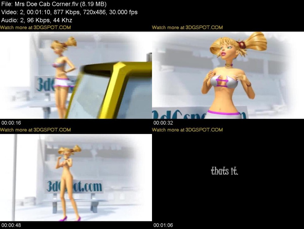 The resume of the programmer